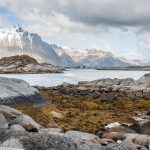 20170601 113104_AS, Stamsund, Lofoten, Noorwegen 800